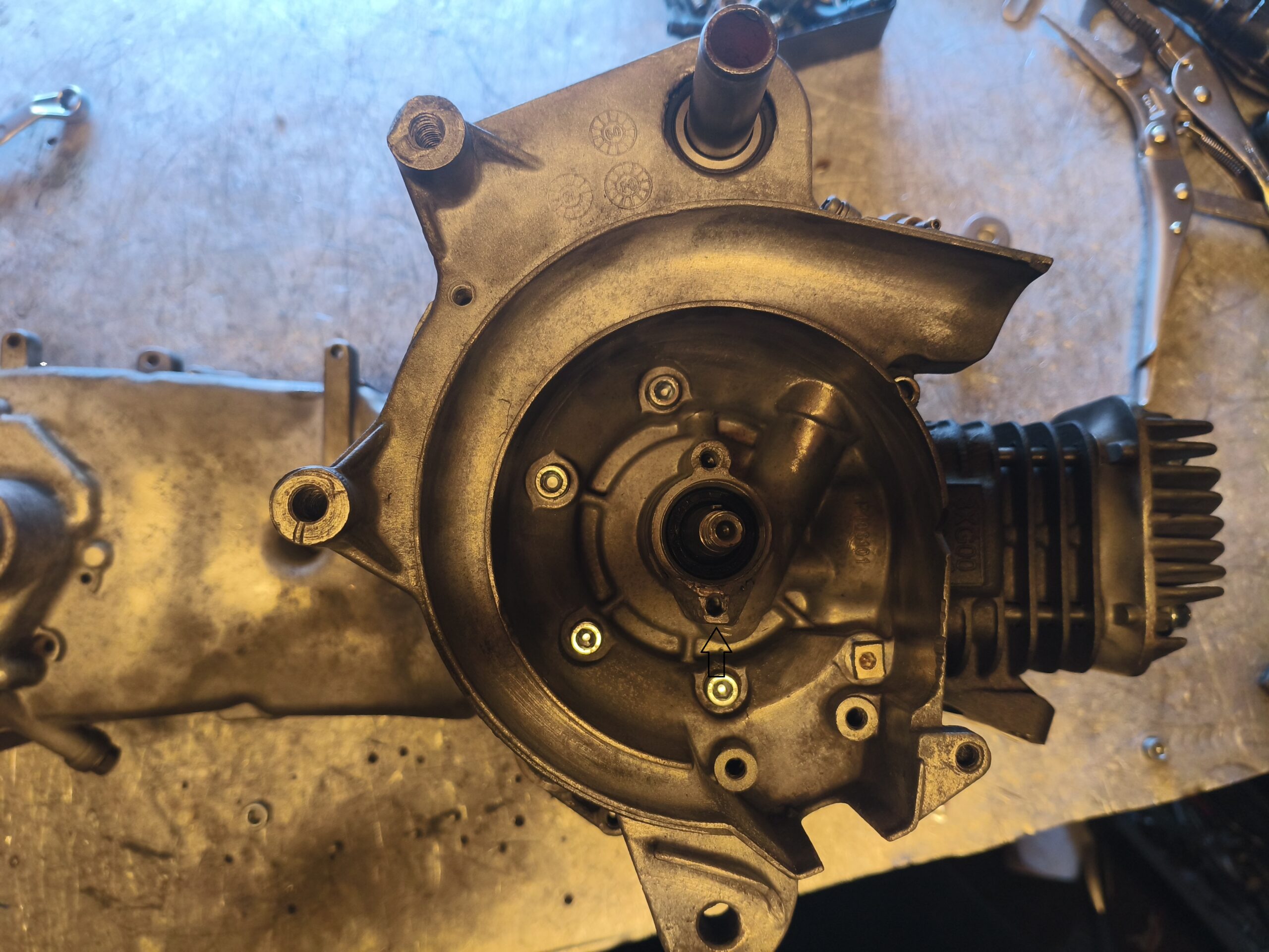 Nyrenoveret 50cc PGO-Motor – Sandblæst - Image 10